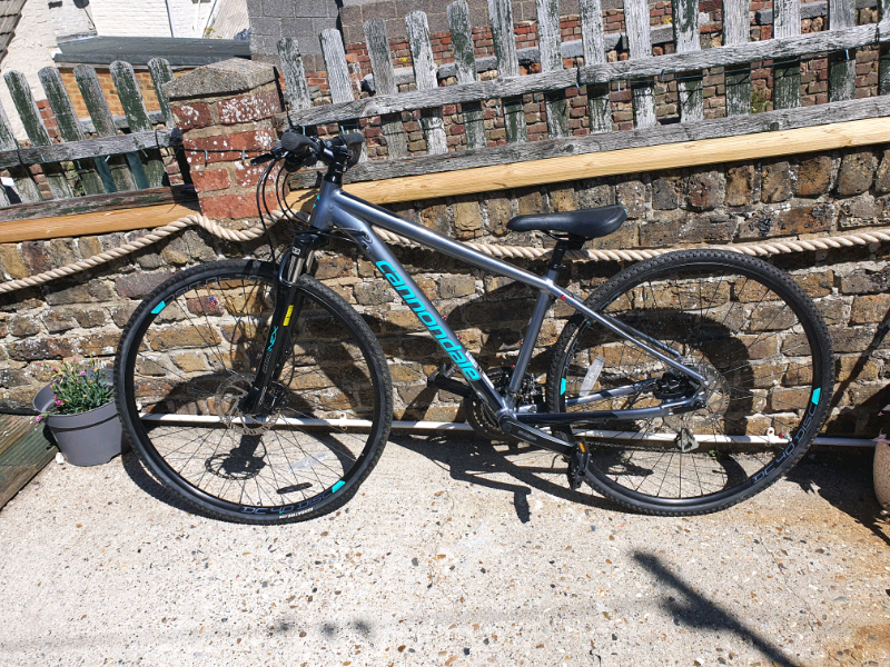 cannondale gumtree